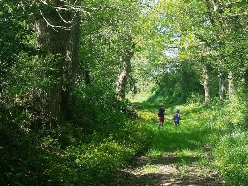 Chemin de Halage